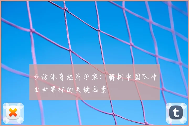 专访体育经济学家：解析中国队冲击世界杯的关键因素