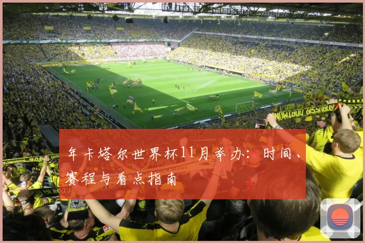 年卡塔尔世界杯11月举办：时间、赛程与看点指南