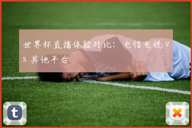 世界杯直播体验对比：电信电视 vs 其他平台