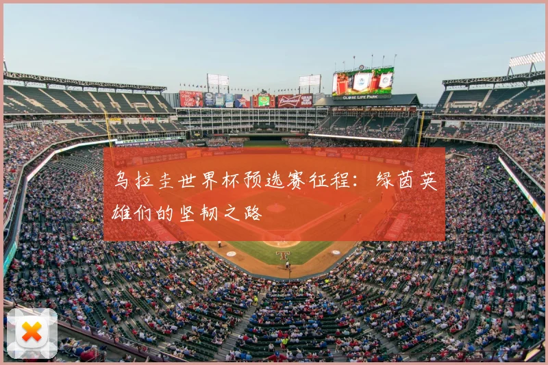 乌拉圭世界杯预选赛征程：绿茵英雄们的坚韧之路