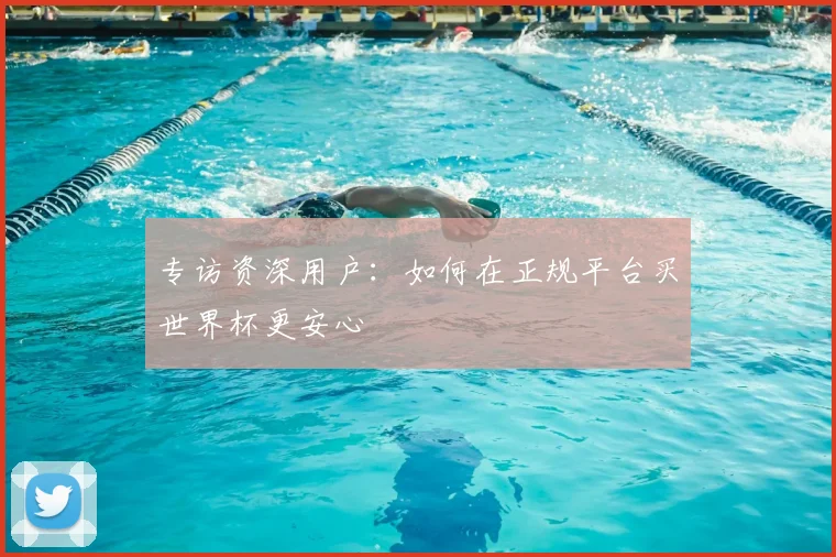 专访资深用户：如何在正规平台买世界杯更安心