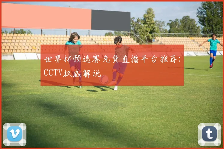 世界杯预选赛免费直播平台推荐：CCTV权威解说