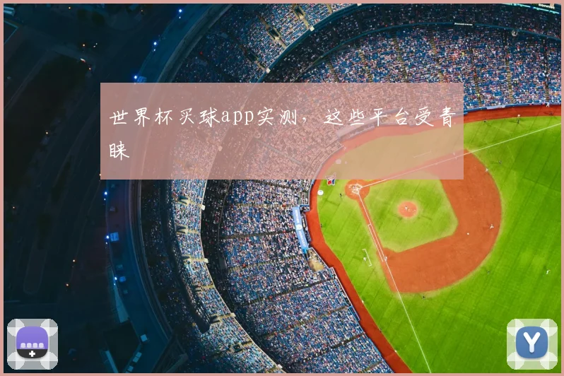 世界杯买球app实测，这些平台受青睐
