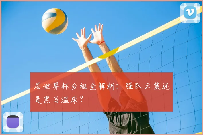 届世界杯分组全解析：强队云集还是黑马温床？