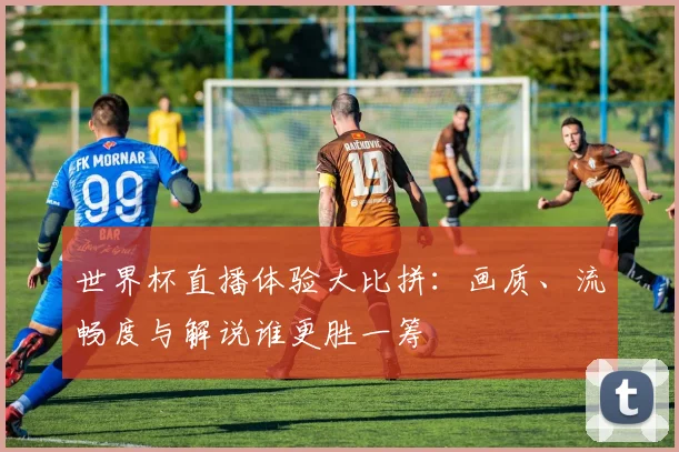 世界杯直播体验大比拼:画质、流畅度与解说谁更胜一筹