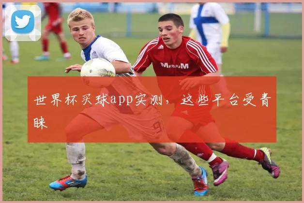 世界杯买球app实测，这些平台受青睐