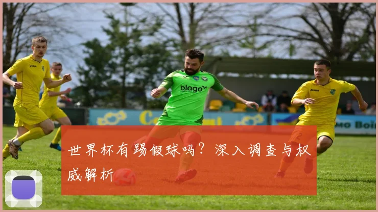 世界杯有踢假球吗?深入调查与权威解析