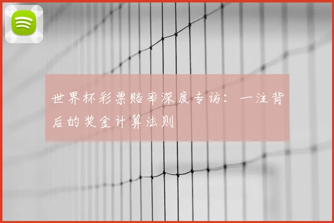 世界杯彩票赔率深度专访：一注背后的奖金计算法则