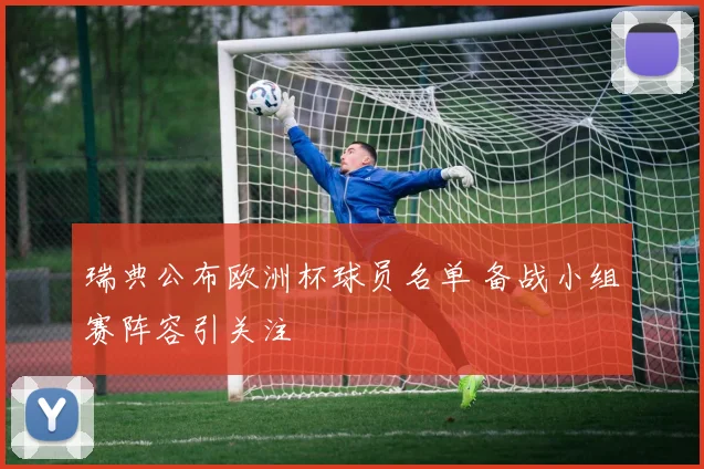 瑞典公布欧洲杯球员名单 备战小组赛阵容引关注