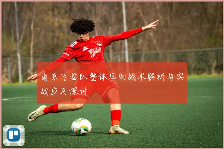 南京飞盘队整体压制战术解析与实战应用探讨
